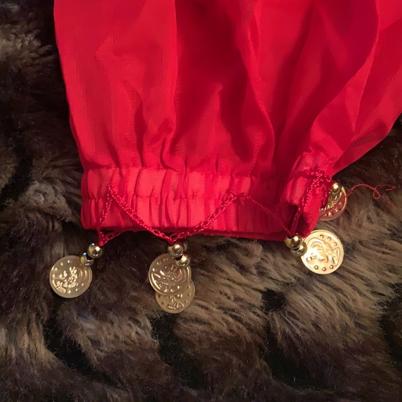 Belly dancer costume - Picture 3 of 5